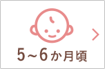 5~6か月頃