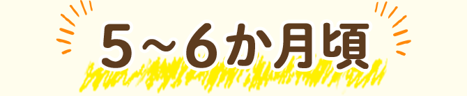 5~6カ月頃
